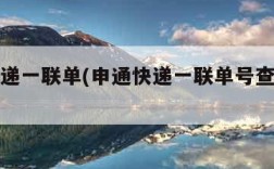 申通快递一联单(申通快递一联单号查询系统)