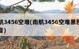 南航3456空难(南航3456空难黑匣子录音)