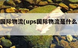 ups国际物流(ups国际物流是什么意思啊)