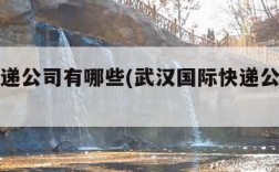 国际快递公司有哪些(武汉国际快递公司有哪些)